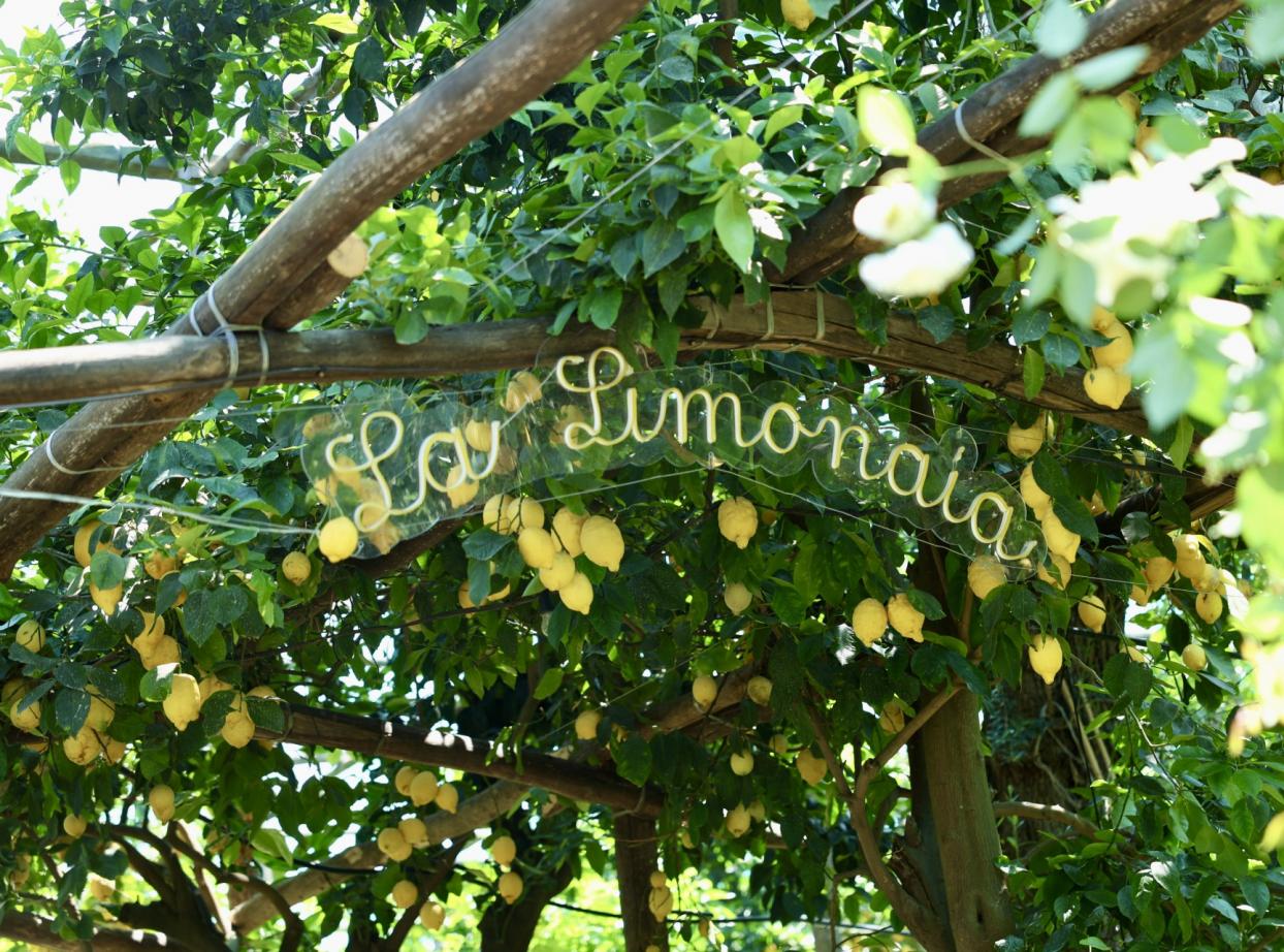 La Limonaia